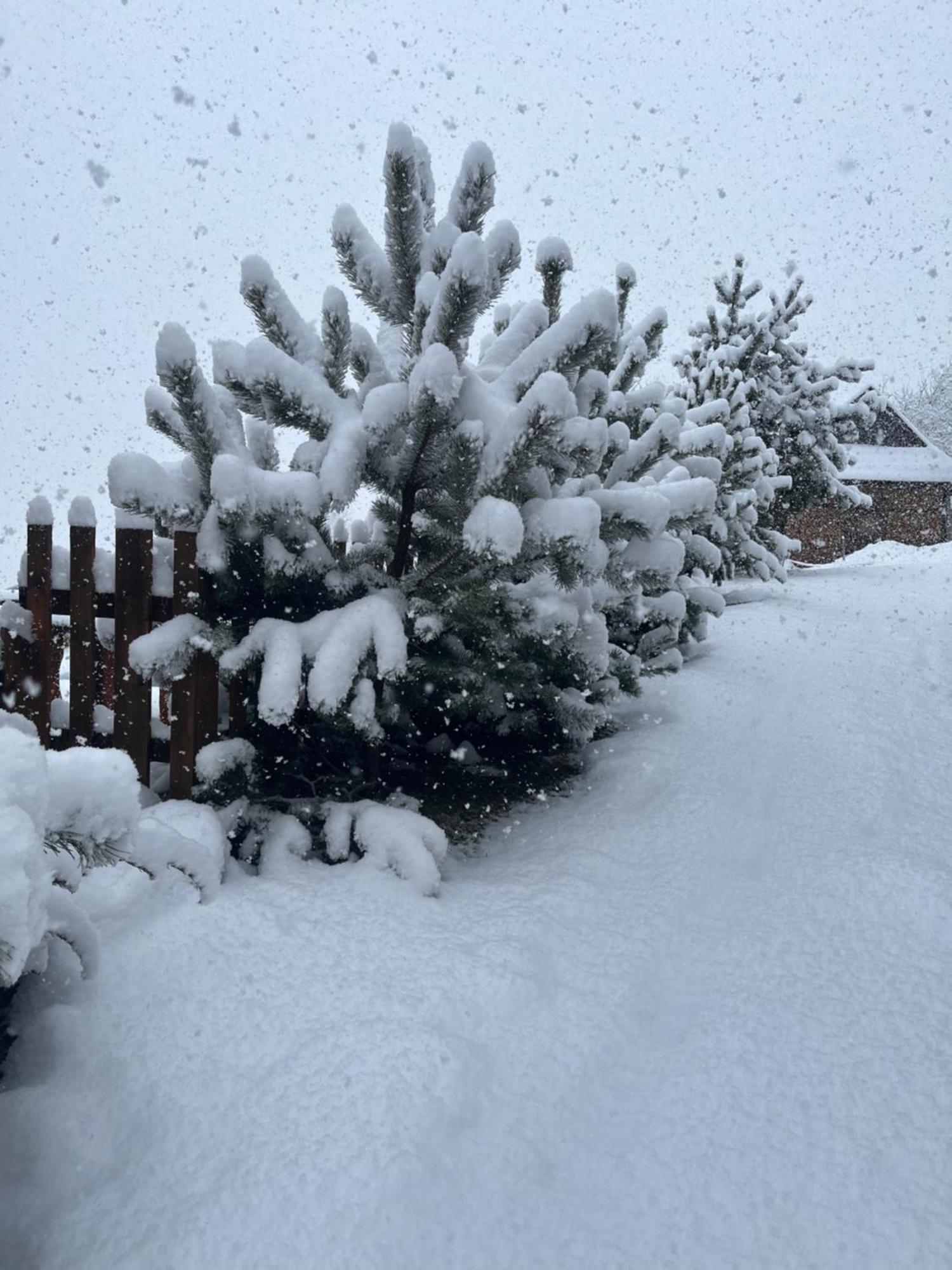 Hirska Vatra Vila Slavske Exterior foto